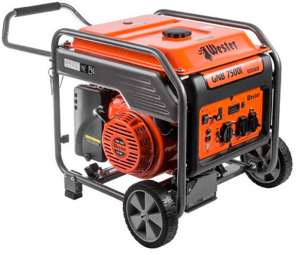 Генератор инверторный Wester GNB7500i (Для оргтехники) в прокат в Сарапуле. У нас лучшая цена за сутки! Возможность взять в аренду с выгодной скидкой до 40% при экспресс доставке 24/7. И помните, ночью стоимость еще дешевле на 30%! #арендапрокат #виброплита #выгодно